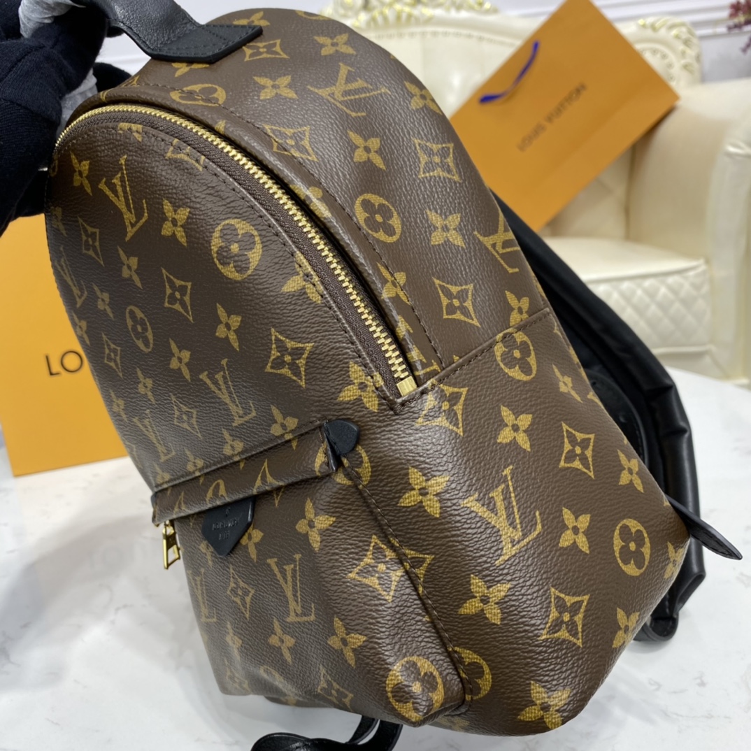 Louis Vuitton PALM SPRINGS MINI Backpack Monogram M44873